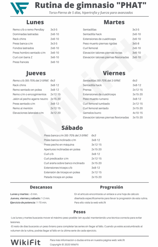 Rutina de entrenamiento PHAT por Layne Norton